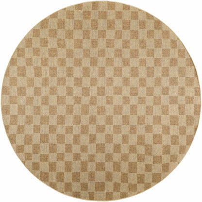 Kuval Checkered Brown Outdoor Rug